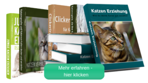 Katzenbücher