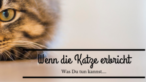 wenn katzen erbrechen müssen